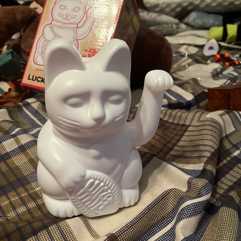 Chinese cat that moves its arm